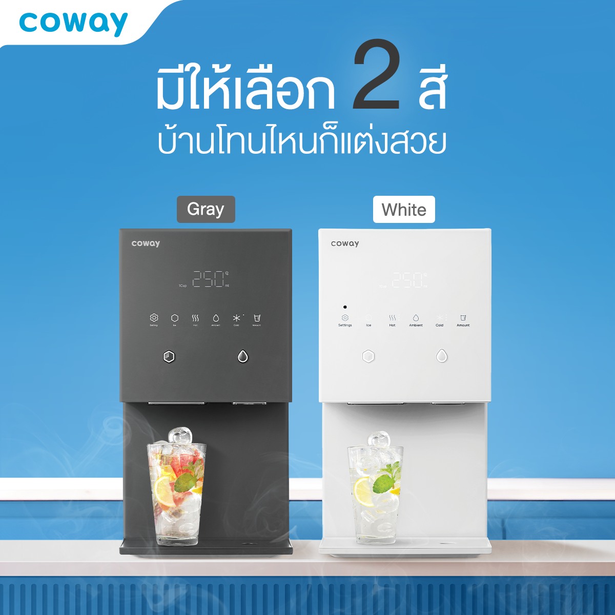 เครื่องกรองน้ำ Coway MY ICE 