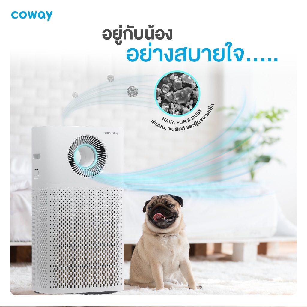 เครื่องฟอกอากาศ Coway รุ่น สตรอม (Storm)